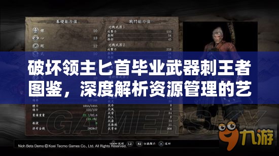 破坏领主匕首毕业武器刺王者图鉴，深度解析资源管理的艺术与策略