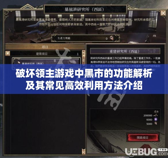 破坏领主游戏中黑市的功能解析及其常见高效利用方法介绍