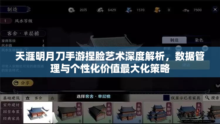 天涯明月刀手游捏脸艺术深度解析，数据管理与个性化价值最大化策略