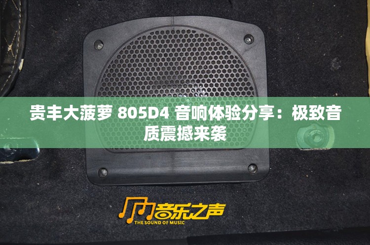 贵丰大菠萝 805D4 音响体验分享：极致音质震撼来袭