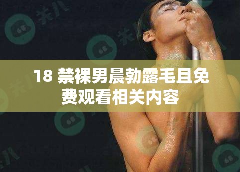 18 禁裸男晨勃露毛且免费观看相关内容