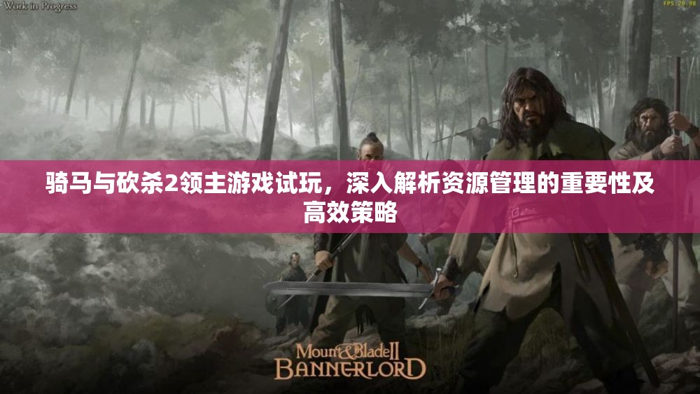 骑马与砍杀2领主游戏试玩，深入解析资源管理的重要性及高效策略