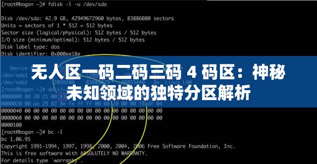 无人区一码二码三码 4 码区：神秘未知领域的独特分区解析