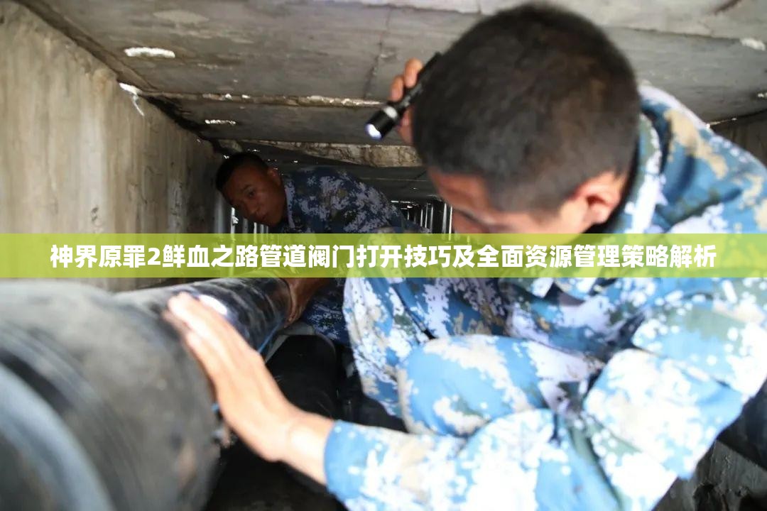 神界原罪2鲜血之路管道阀门打开技巧及全面资源管理策略解析
