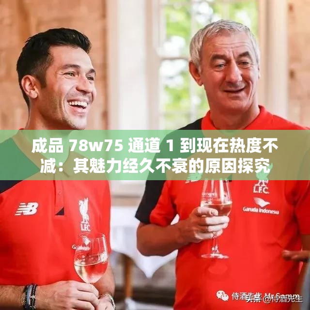 成品 78w75 通道 1 到现在热度不减：其魅力经久不衰的原因探究
