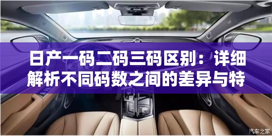 日产一码二码三码区别：详细解析不同码数之间的差异与特点