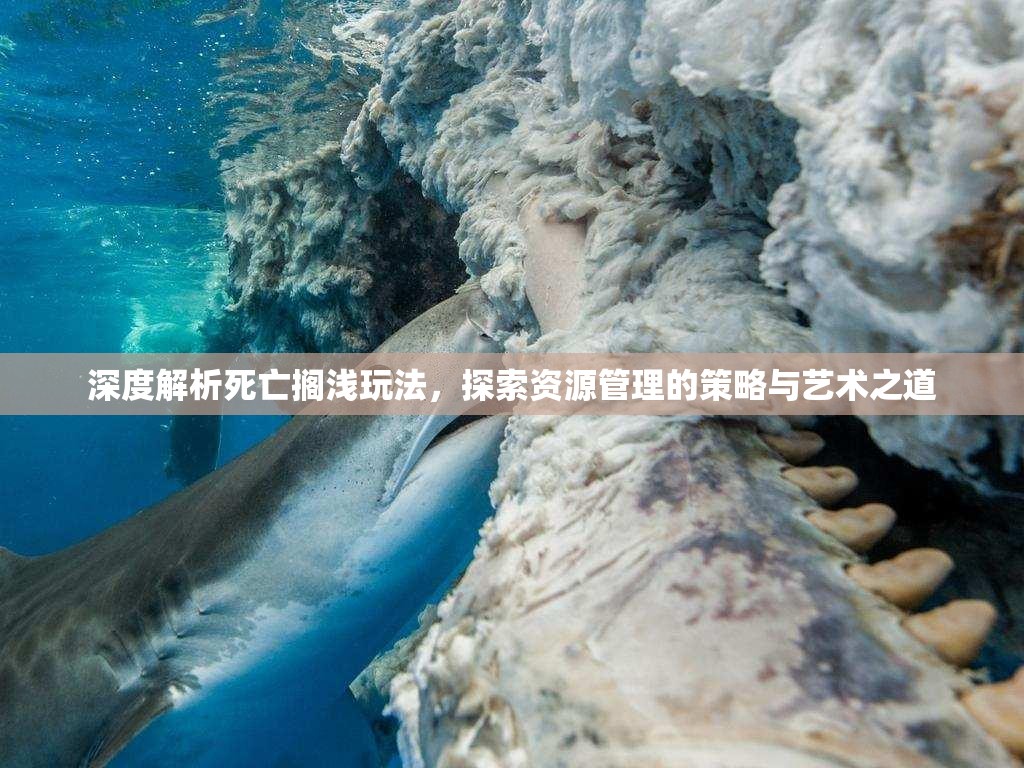 深度解析死亡搁浅玩法，探索资源管理的策略与艺术之道