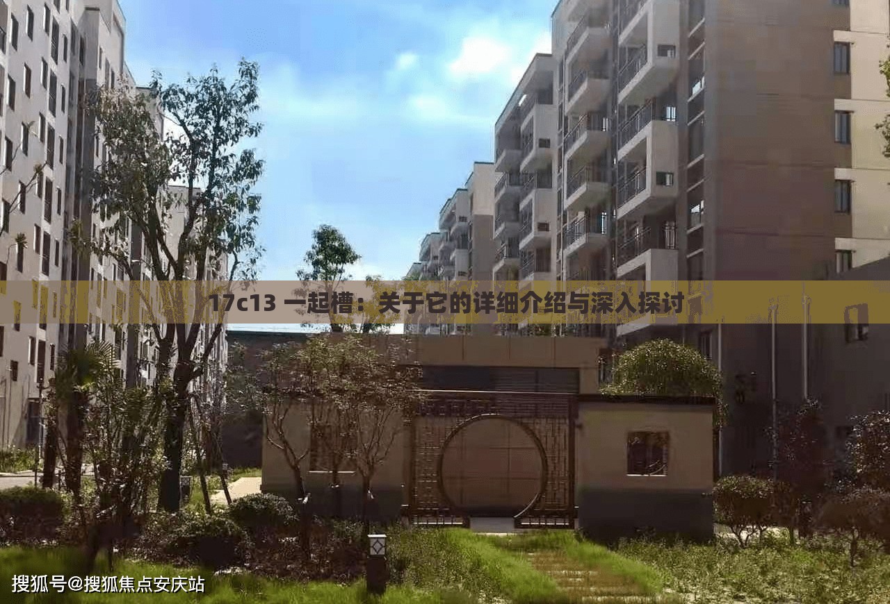 17c13 一起槽：关于它的详细介绍与深入探讨
