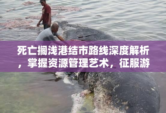 死亡搁浅港结市路线深度解析，掌握资源管理艺术，征服游戏难关