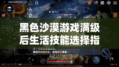 黑色沙漠游戏满级后生活技能选择指南，深入探索最佳生活技能发展路径
