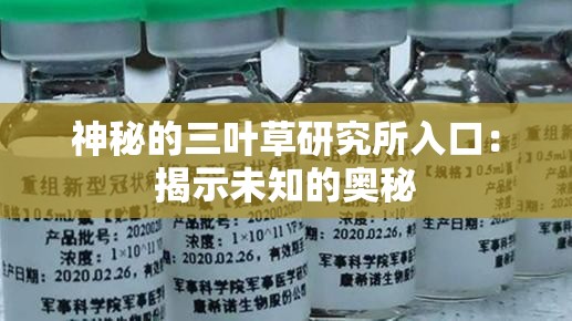 神秘的三叶草研究所入口：揭示未知的奥秘