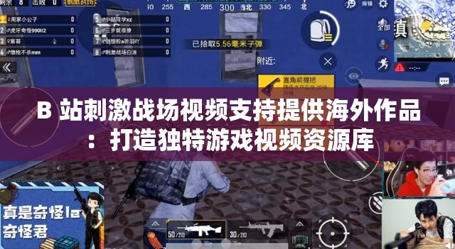 B 站刺激战场视频支持提供海外作品：打造独特游戏视频资源库