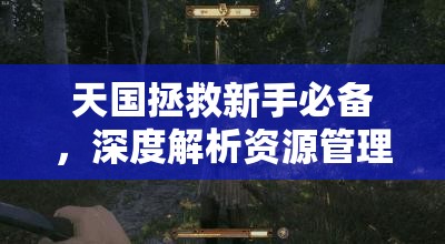 天国拯救新手必备，深度解析资源管理的艺术与攻略心得