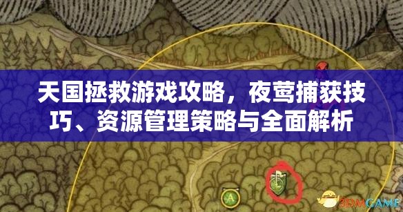 天国拯救游戏攻略，夜莺捕获技巧、资源管理策略与全面解析