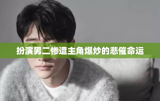 扮演男二惨遭主角爆炒的悲催命运