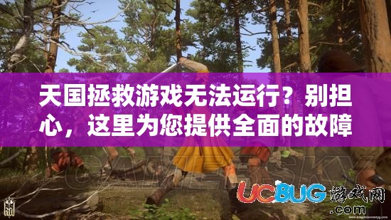天国拯救游戏无法运行？别担心，这里为您提供全面的故障排查与解决方案！