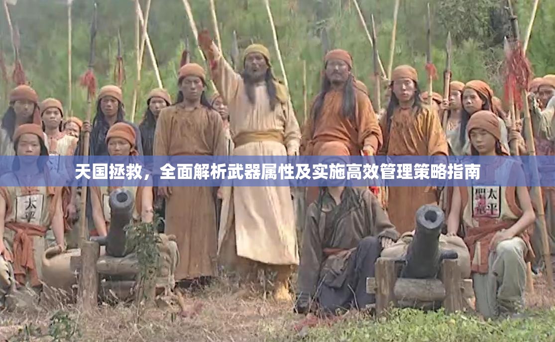 天国拯救，全面解析武器属性及实施高效管理策略指南