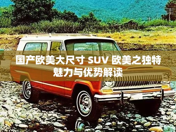 国产欧美大尺寸 SUV 欧美之独特魅力与优势解读