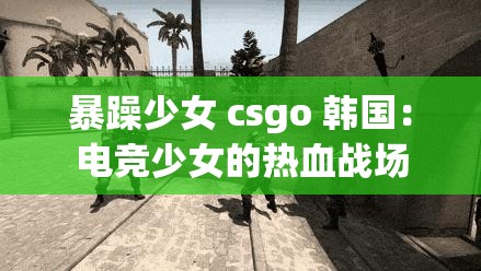 暴躁少女 csgo 韩国：电竞少女的热血战场