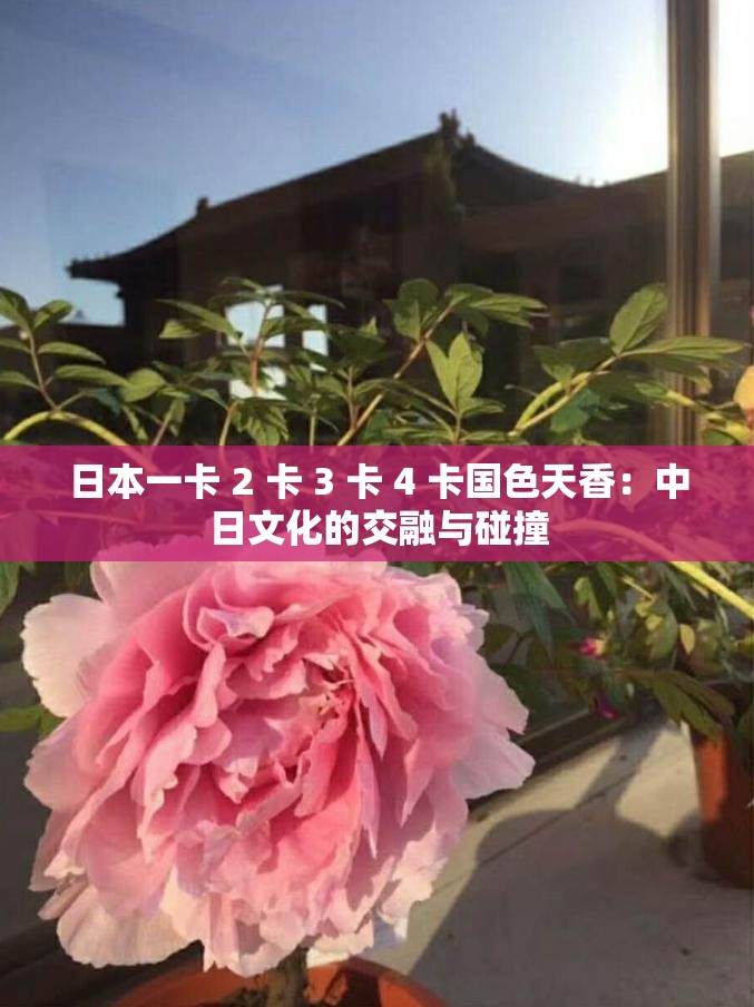 日本一卡 2 卡 3 卡 4 卡国色天香：中日文化的交融与碰撞