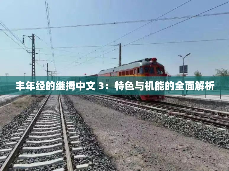 丰年经的继拇中文 3：特色与机能的全面解析