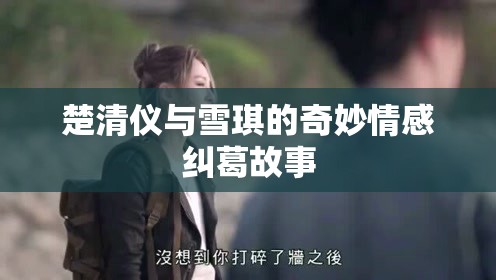 楚清仪与雪琪的奇妙情感纠葛故事