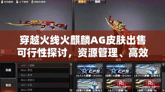 穿越火线火麒麟AG皮肤出售可行性探讨，资源管理、高效利用与价值最大化策略