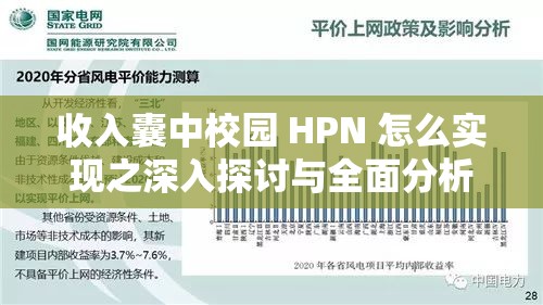 收入囊中校园 HPN 怎么实现之深入探讨与全面分析
