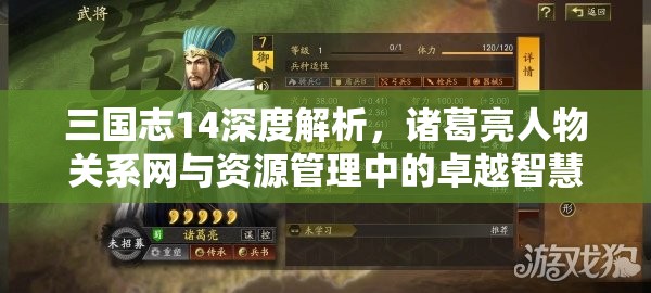 三国志14深度解析，诸葛亮人物关系网与资源管理中的卓越智慧之光
