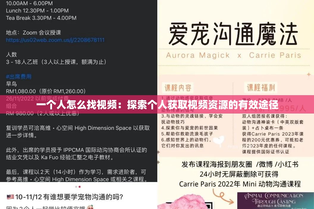 一个人怎么找视频：探索个人获取视频资源的有效途径
