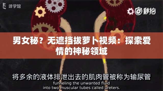 男女秘？无遮挡拔萝卜视频：探索爱情的神秘领域