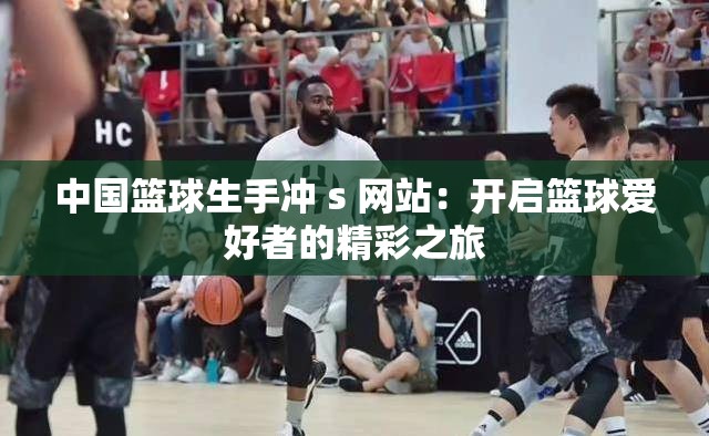 中国篮球生手冲 s 网站：开启篮球爱好者的精彩之旅