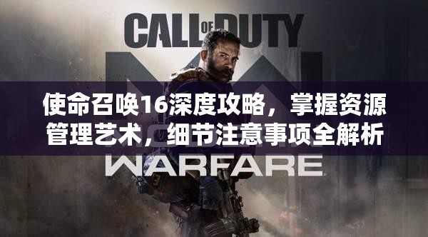 使命召唤16深度攻略，掌握资源管理艺术，细节注意事项全解析