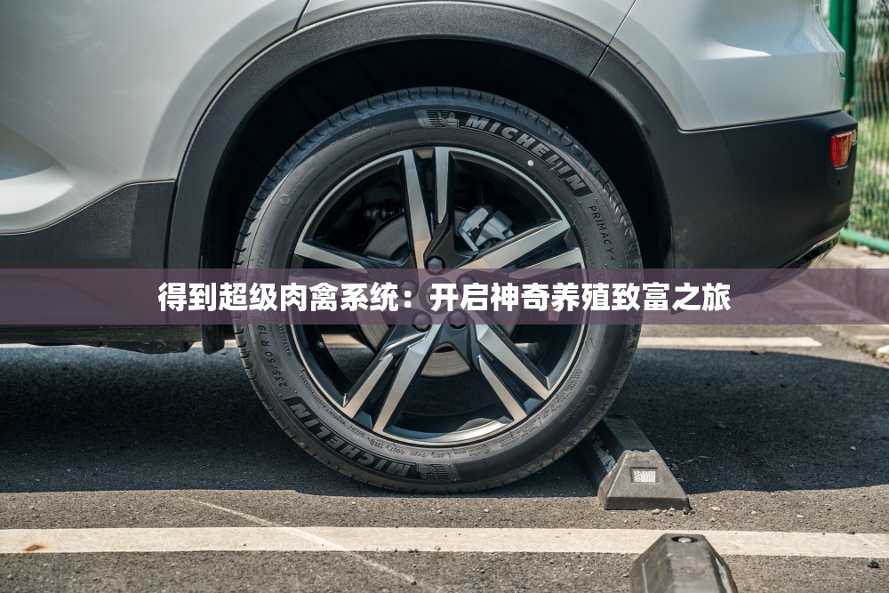 得到超级肉禽系统：开启神奇养殖致富之旅