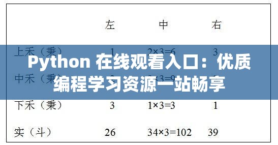 Python 在线观看入口：优质编程学习资源一站畅享