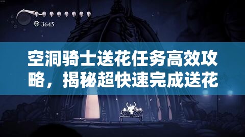 空洞骑士送花任务高效攻略，揭秘超快速完成送花挑战的绝妙玩法