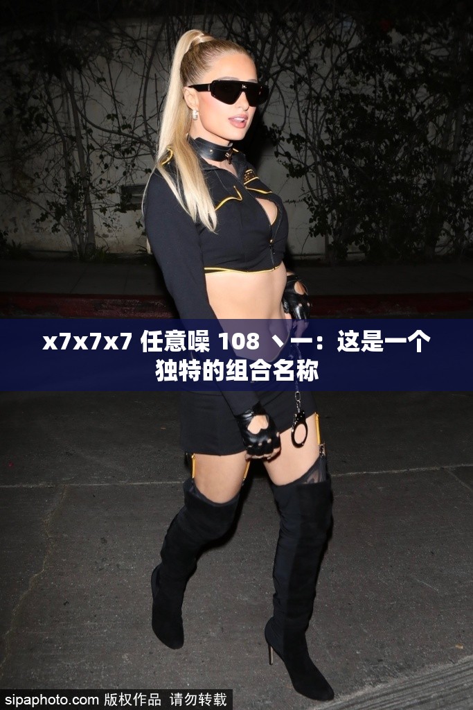 x7x7x7 任意噪 108 丶一：这是一个独特的组合名称