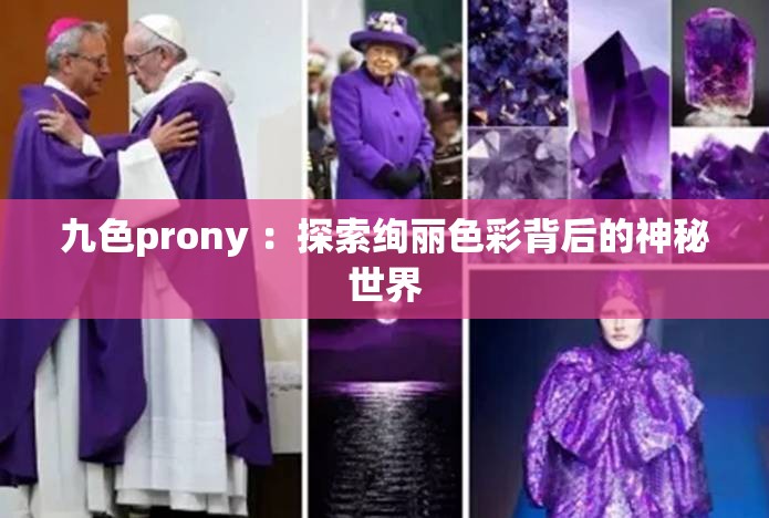九色prony ：探索绚丽色彩背后的神秘世界