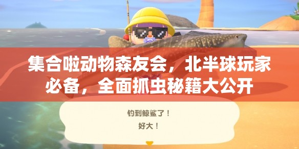集合啦动物森友会，北半球玩家必备，全面抓虫秘籍大公开