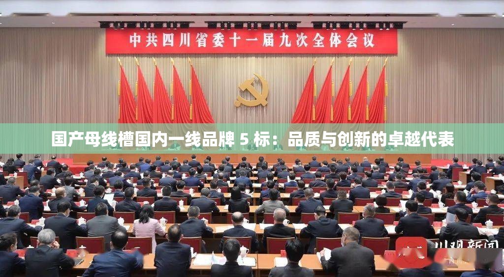 国产母线槽国内一线品牌 5 标：品质与创新的卓越代表