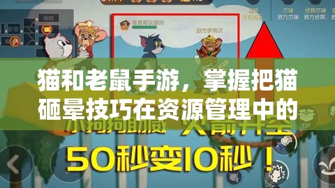 猫和老鼠手游，掌握把猫砸晕技巧在资源管理中的核心作用与高效实战运用
