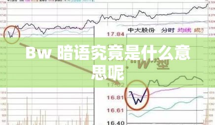 Bw 暗语究竟是什么意思呢