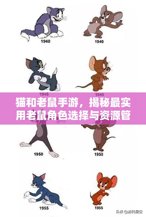 猫和老鼠手游，揭秘最实用老鼠角色选择与资源管理策略优化技巧