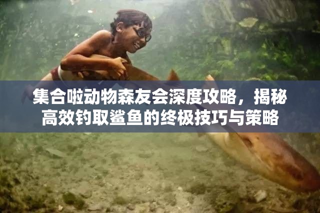 集合啦动物森友会深度攻略，揭秘高效钓取鲨鱼的终极技巧与策略