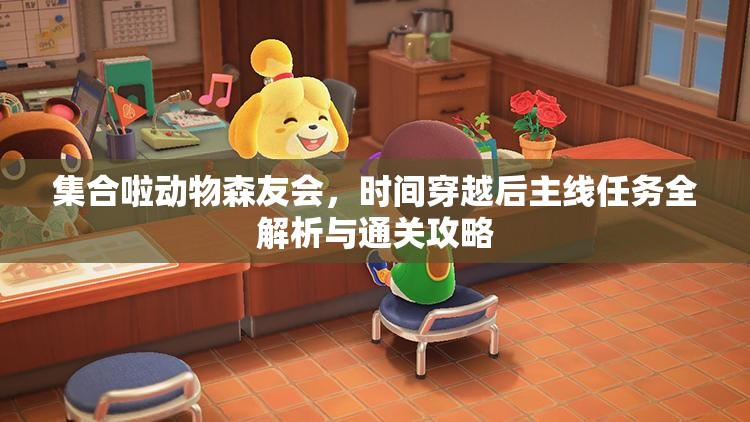集合啦动物森友会，时间穿越后主线任务全解析与通关攻略