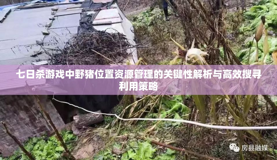七日杀游戏中野猪位置资源管理的关键性解析与高效搜寻利用策略