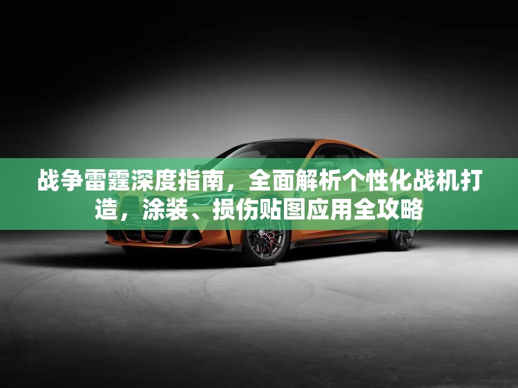 战争雷霆深度指南，全面解析个性化战机打造，涂装、损伤贴图应用全攻略