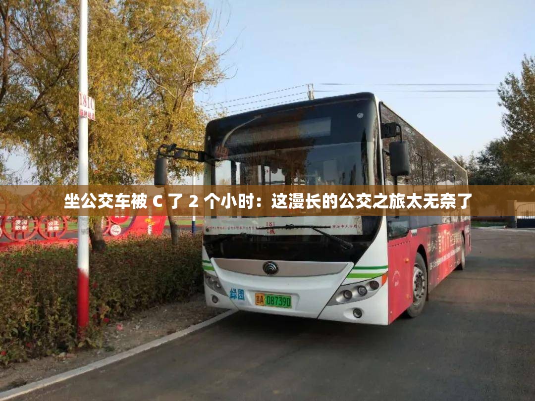 坐公交车被 C 了 2 个小时：这漫长的公交之旅太无奈了
