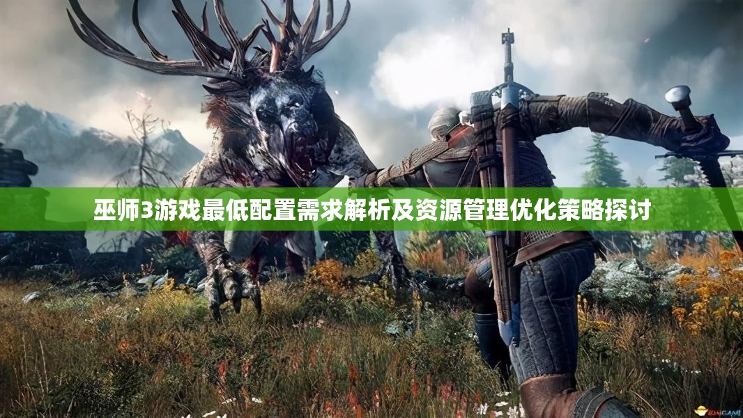 巫师3游戏最低配置需求解析及资源管理优化策略探讨