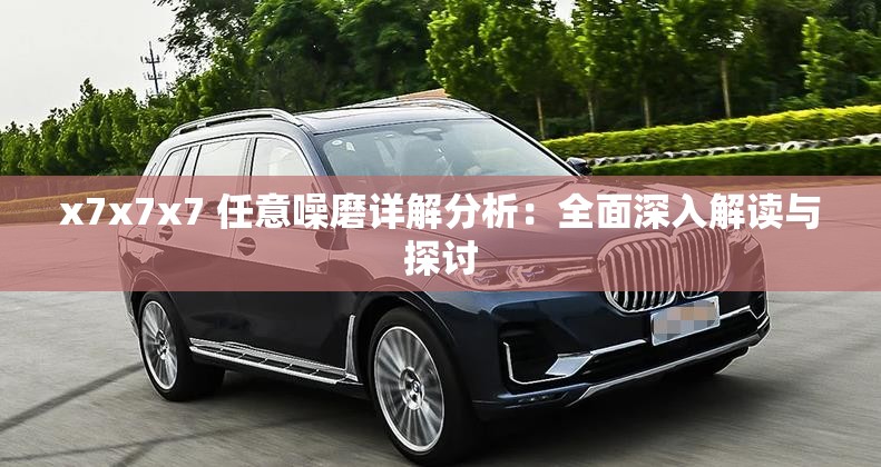 x7x7x7 任意噪磨详解分析：全面深入解读与探讨